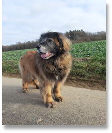 Cmila Curlys Schwester