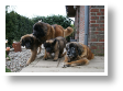 DSC06445.JPG