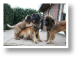 DSC06441.JPG