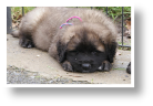 DSC01291.JPG
