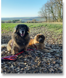 Cmila Curlys Schwester